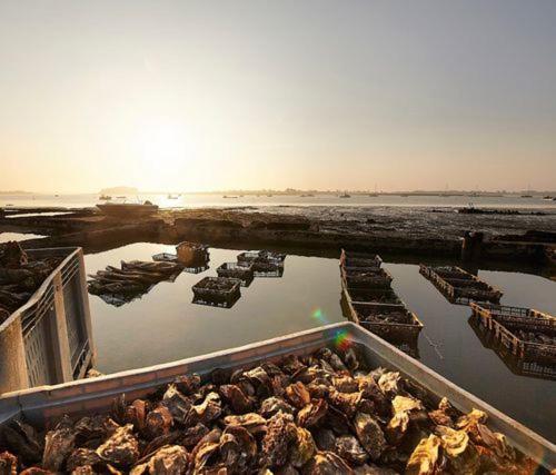 Ker Goh Velin Villa Saint-Gildas-de-Rhuys Bagian luar foto