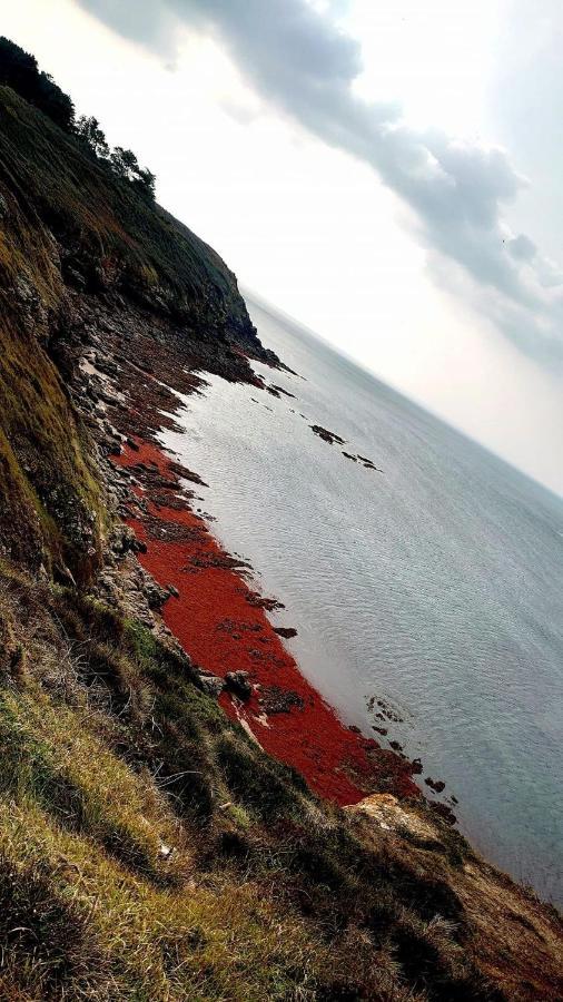 Ker Goh Velin Villa Saint-Gildas-de-Rhuys Bagian luar foto