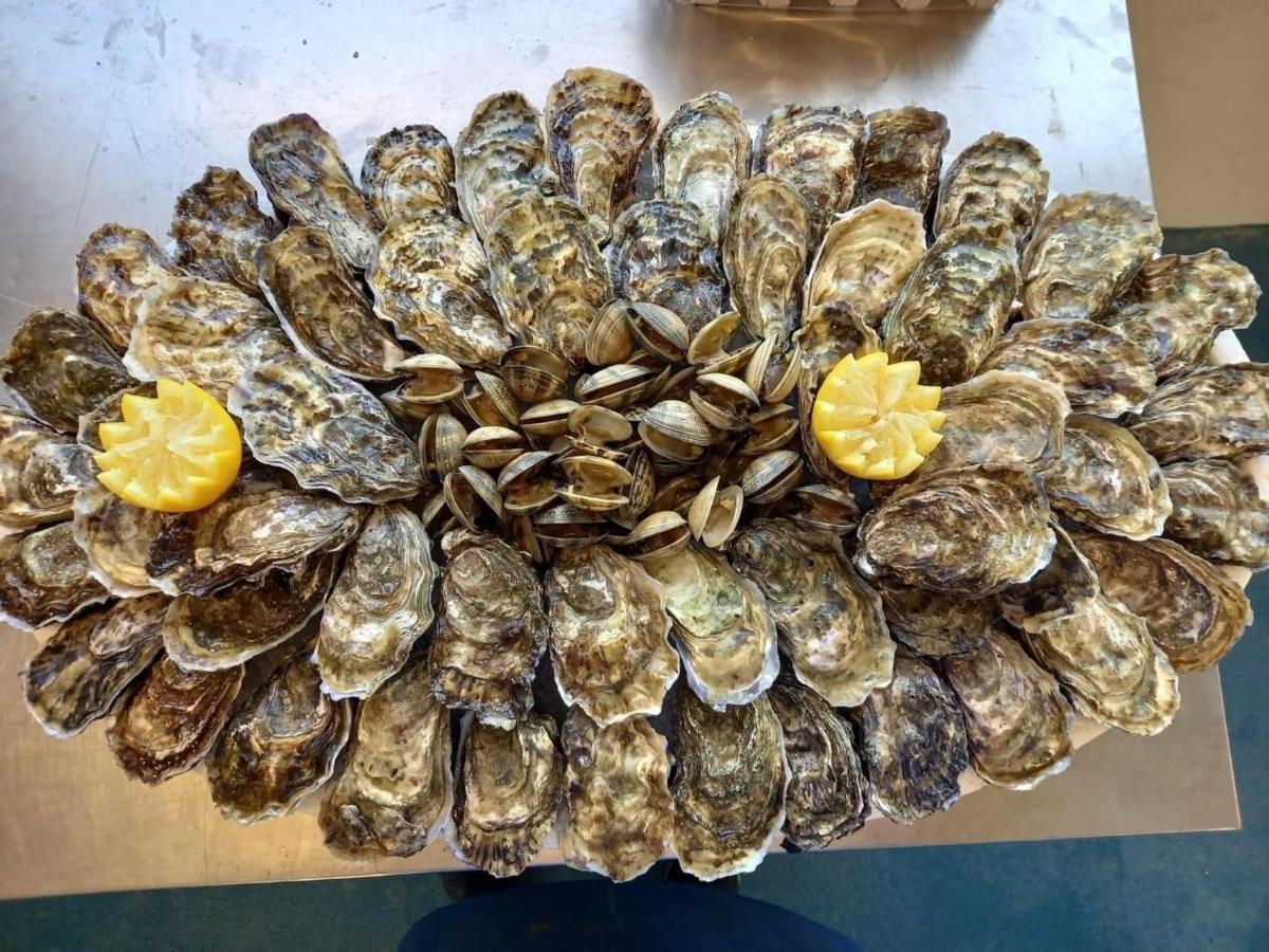 Ker Goh Velin Villa Saint-Gildas-de-Rhuys Bagian luar foto